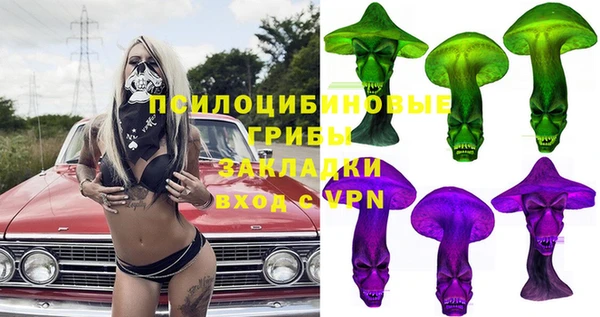 PSILOCYBIN Вязьма