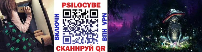 закладки  Великий Новгород  Галлюциногенные грибы GOLDEN TEACHER 
