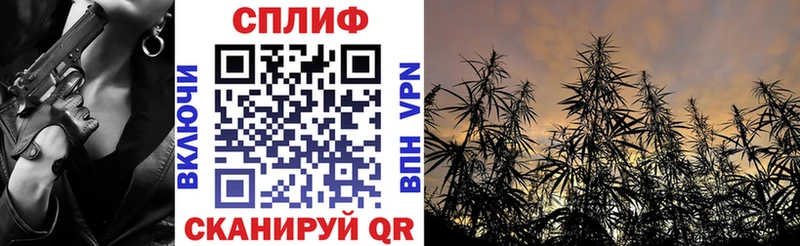 МАРИХУАНА Amnesia  Великий Новгород 